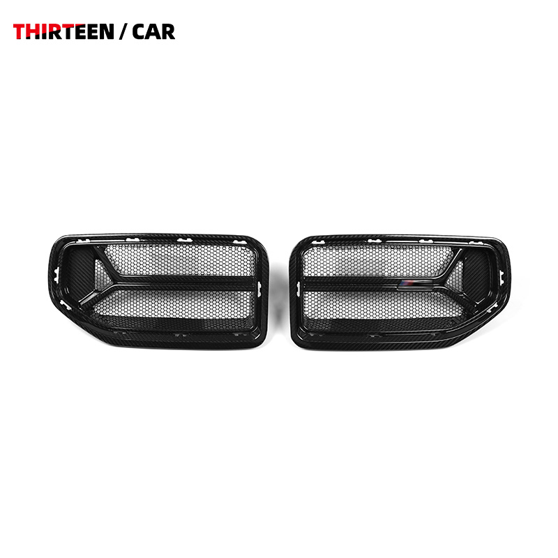 Front Grille M2 G87 CSL -with Insect-Proof Mesh