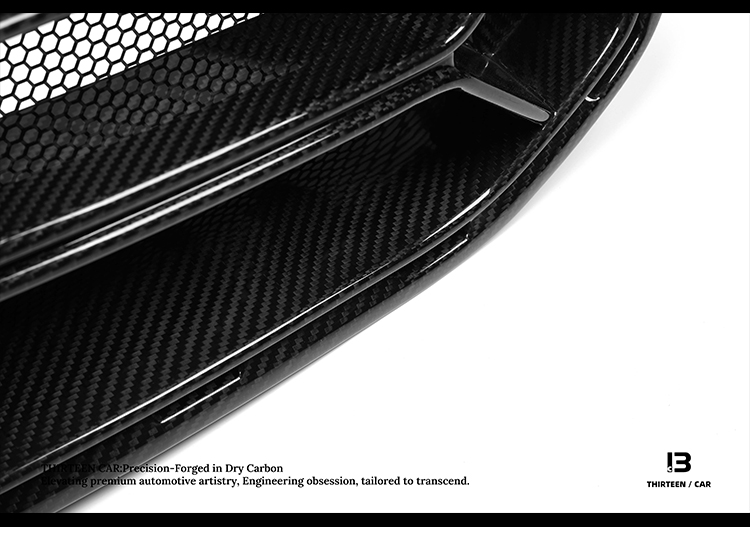 Front Grille M2 G87 CSL -with Insect-Proof Mesh