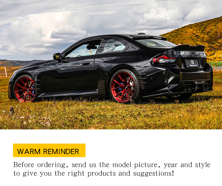 SIDE SPLITTERS M2 G87 MP