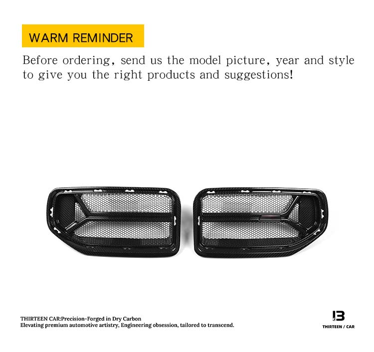 Front Grille M2 G87 CSL -with Insect-Proof Mesh