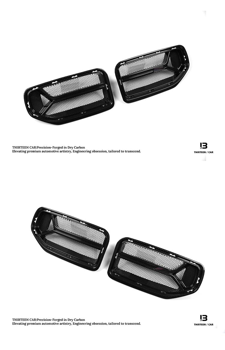Front Grille M2 G87 CSL -with Insect-Proof Mesh